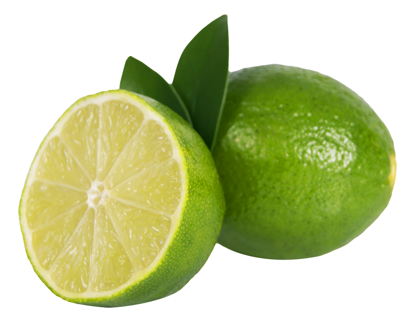 Limes
