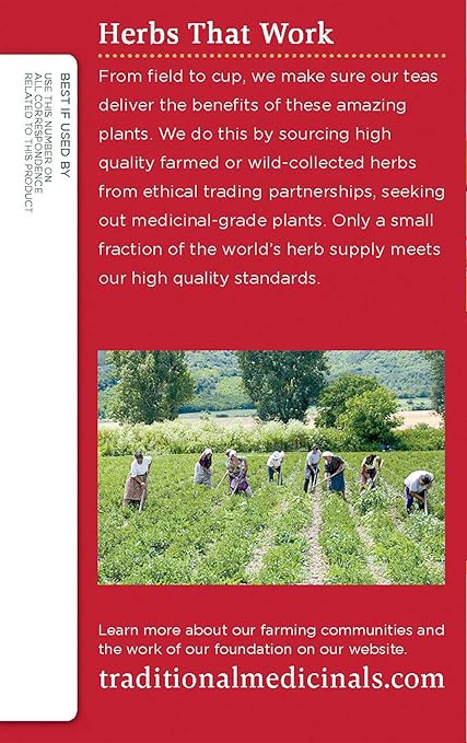 Traditional Medicinals Organic Eucalyptus Mint Breathe Easy Tea, 16 Count