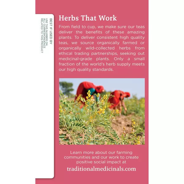Traditional Medicinals Organic Original w/ Fennel & Fenugreek Mother's Milk Tea, 16 Count