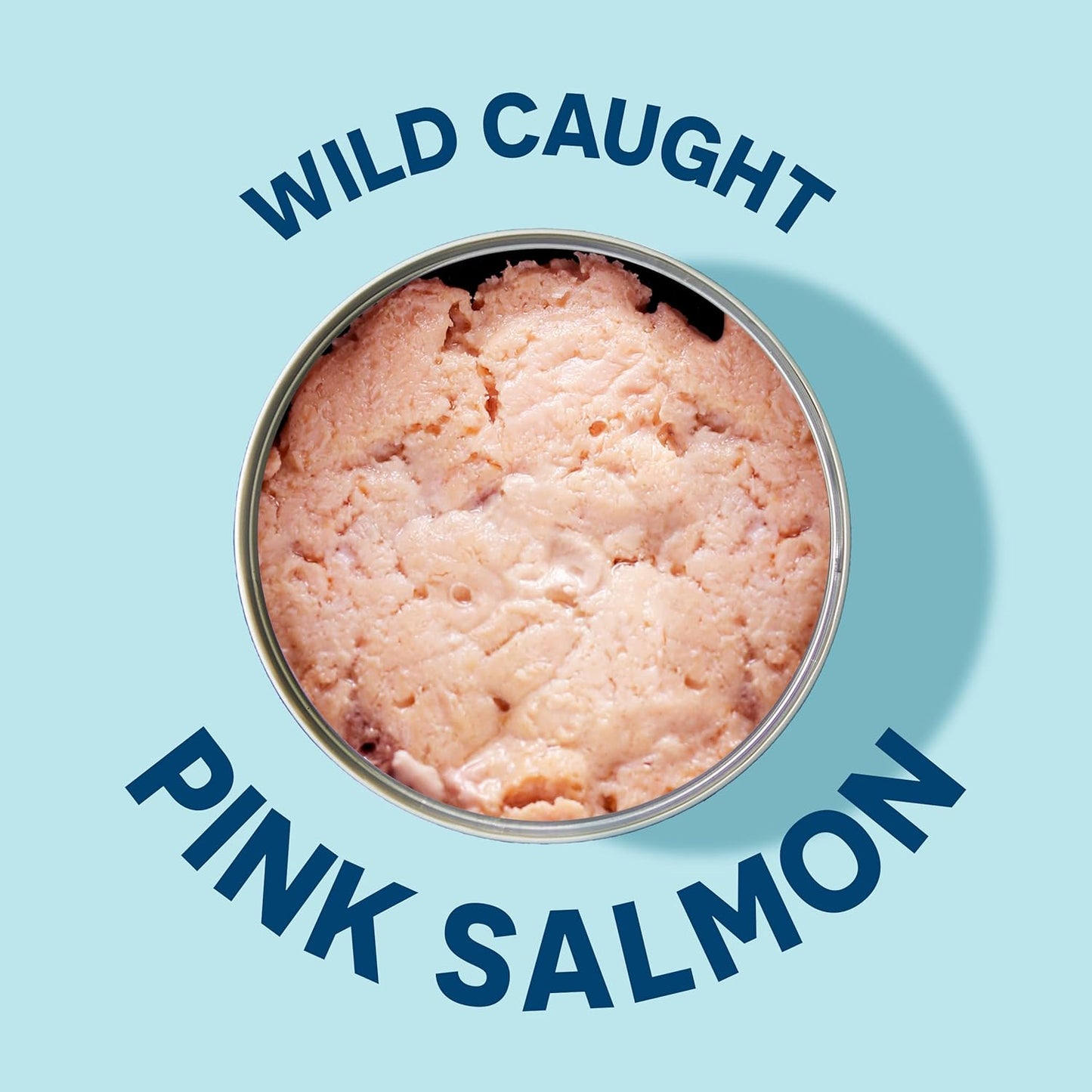 Wild Planet Wild Pink Salmon No Salt Added, 6 oz