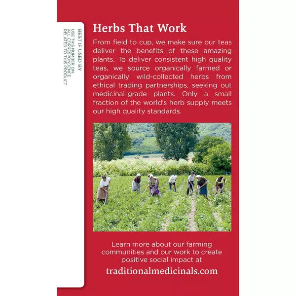 Traditional Medicinals Organic Original w/ Slippery Elm Throat Coat Tea, 16 Count