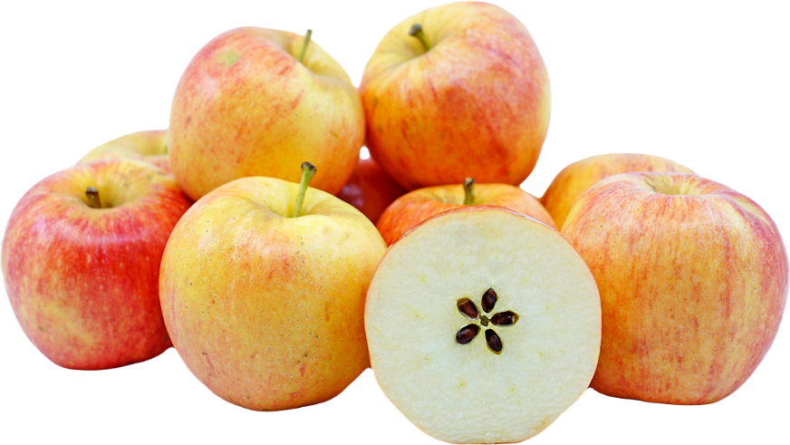Organic Gala Apples