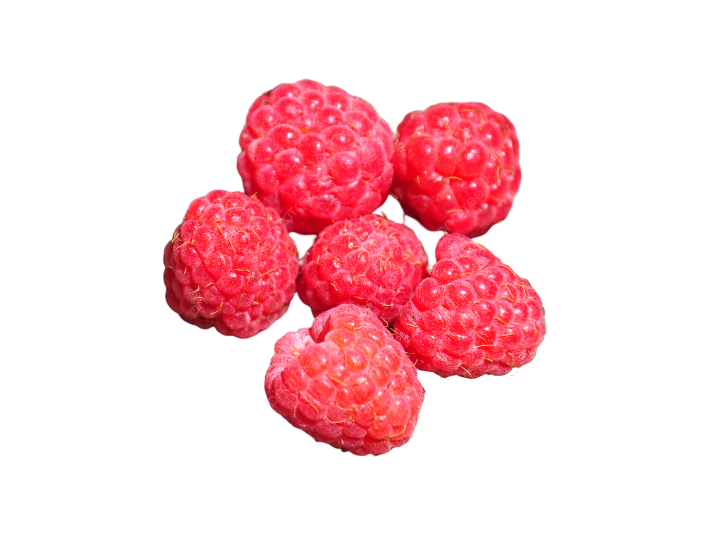 Organic Raspberries | 6 oz