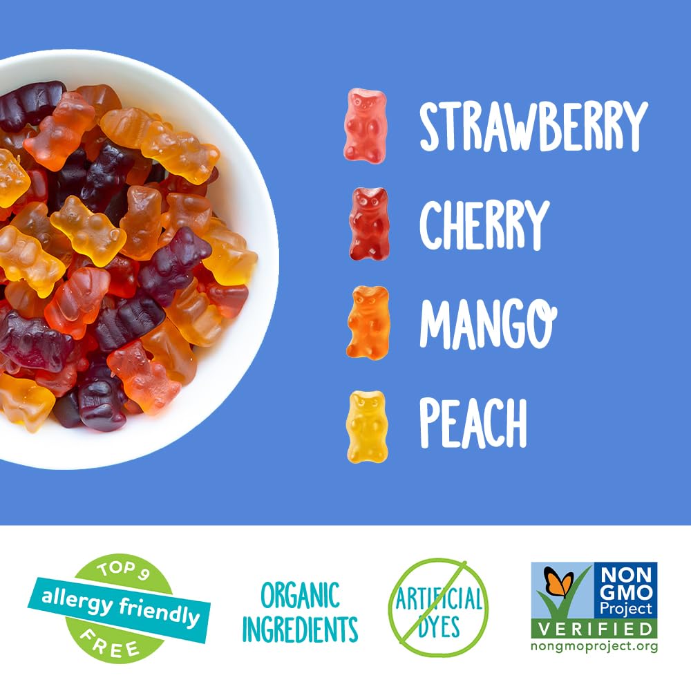 YumEarth Gummy Bears 10 pk, 7 oz