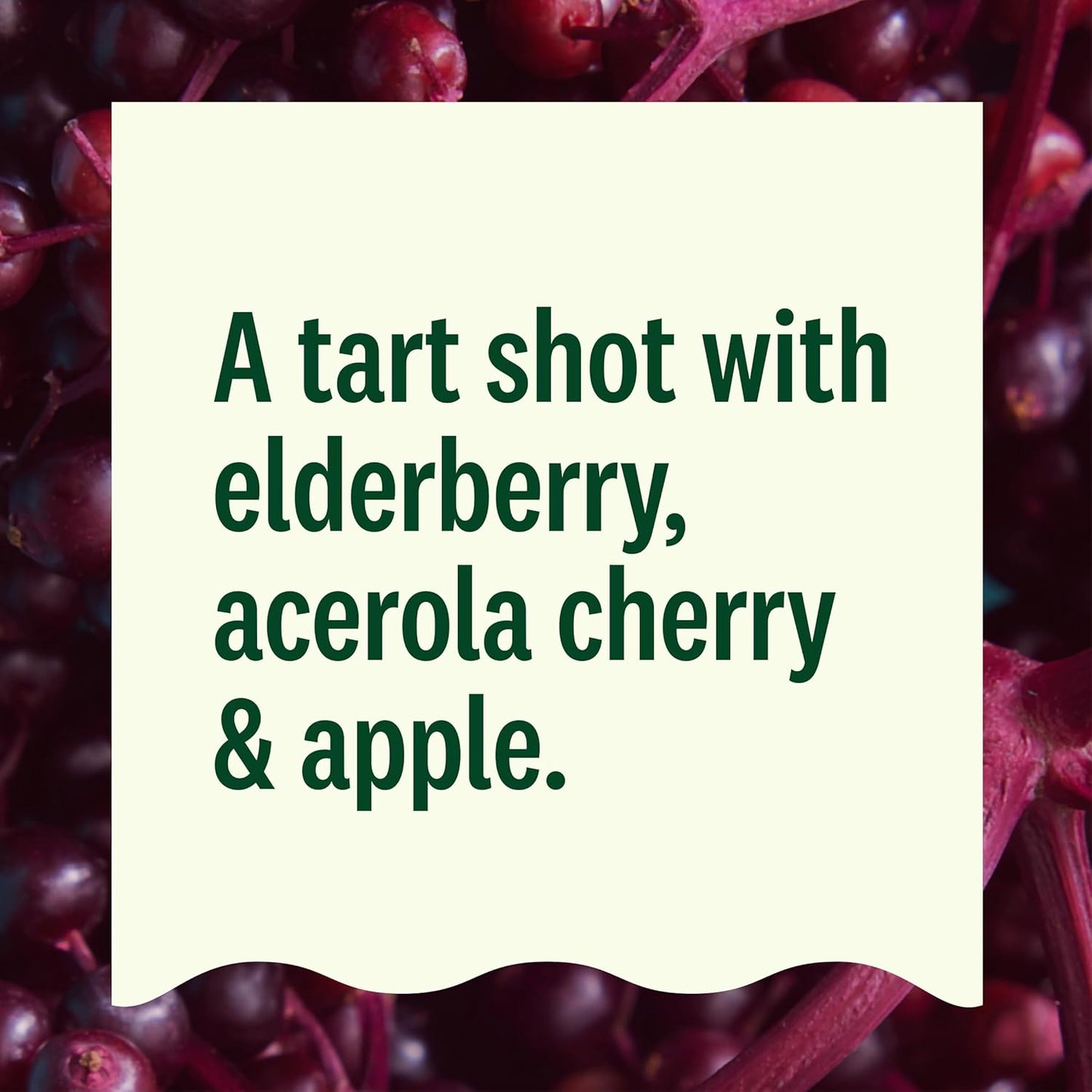 Suja Organic Elderberry Immunity Shot, 2 oz