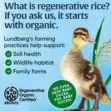 Lundberg Organic White Basmati Rice, 64 oz