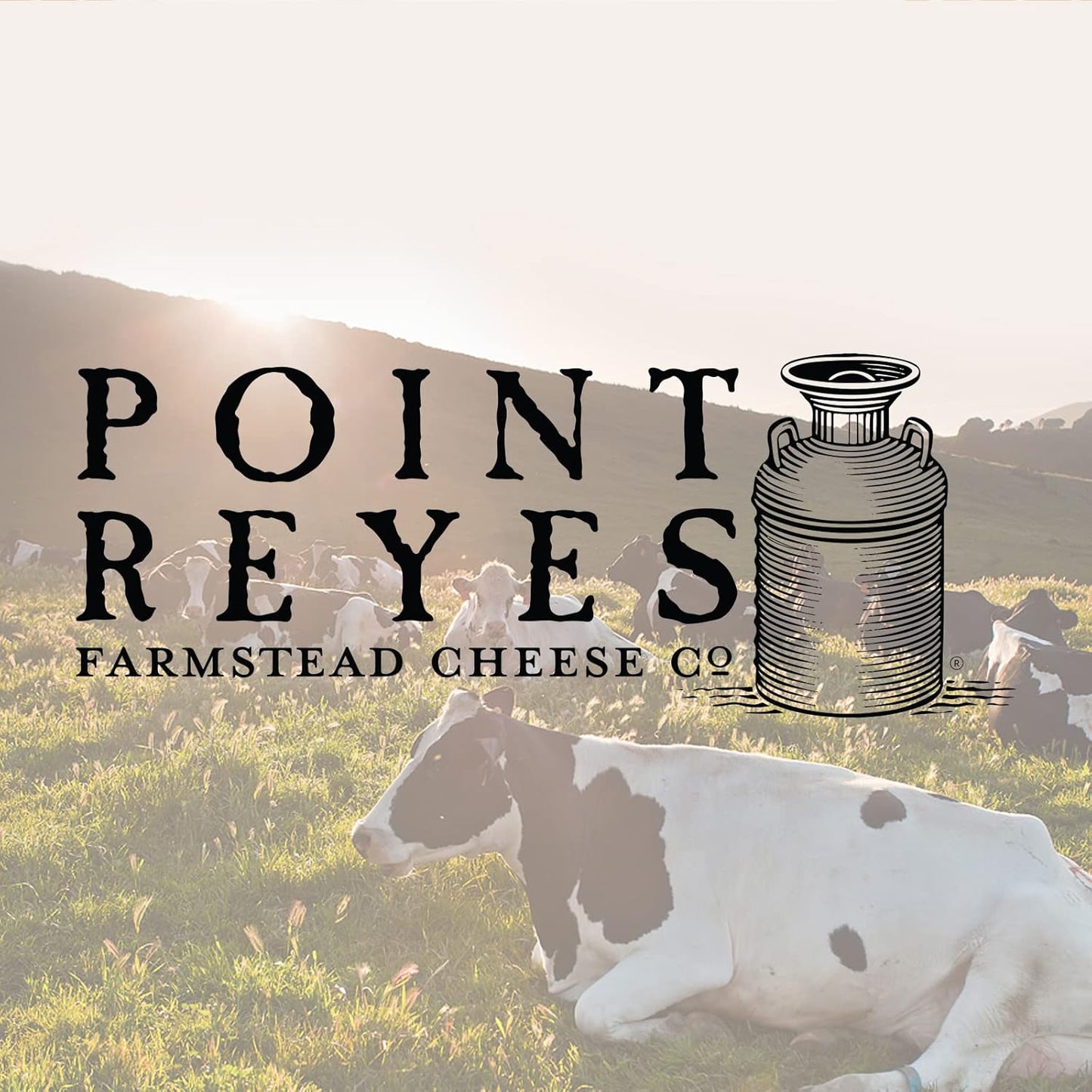 Point Reyes Original Blue Cheese Wedge, 6 oz