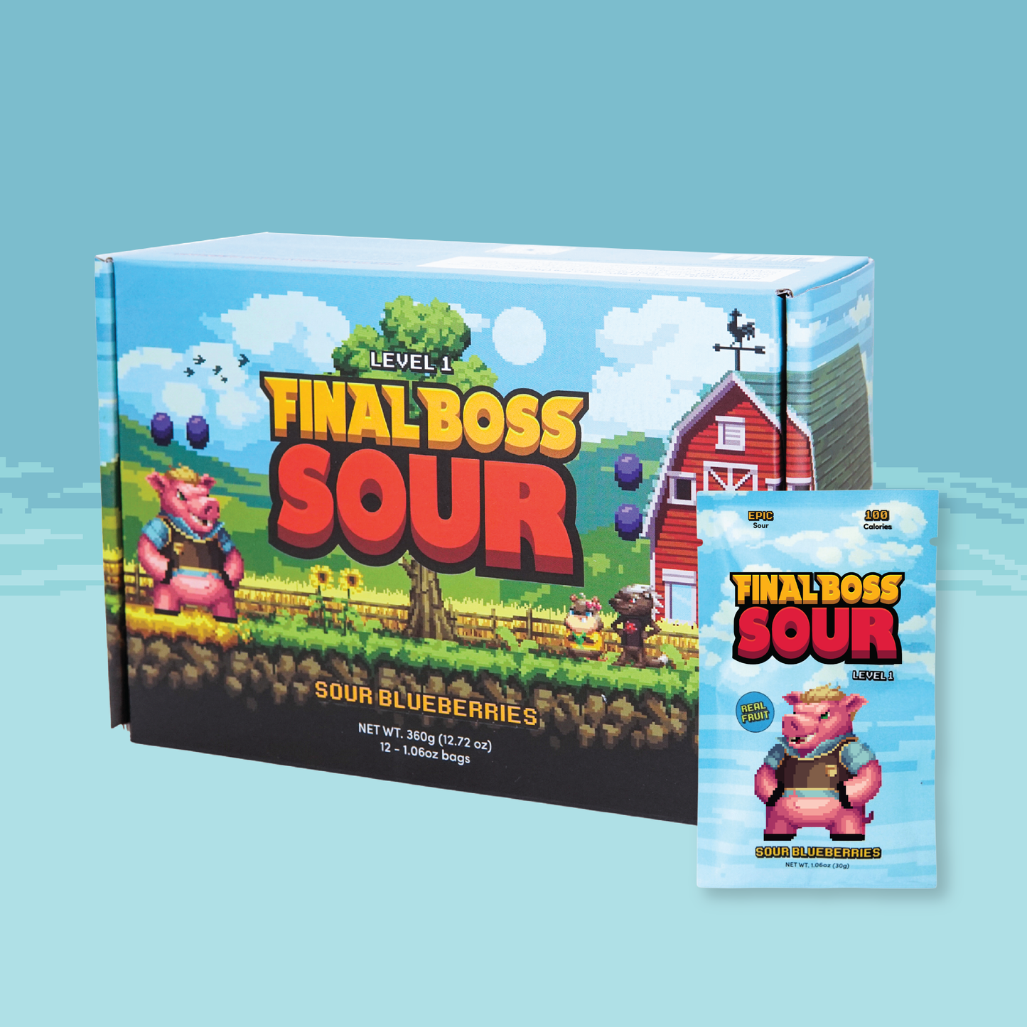 Sour Boss Level 1 Blueberries (12 pack) Dried Fruit Sour Snack
