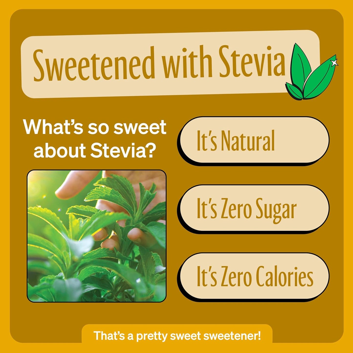 Zevia Zero Sugar Cream Soda, 6 Count