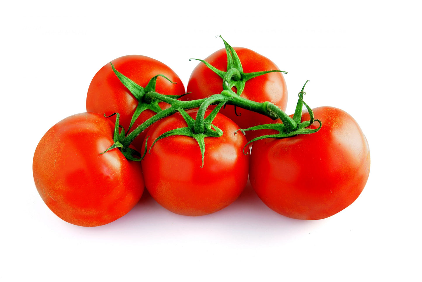 Tomatoes on the Vine, Greenhouse Grown, 1.5 lbs