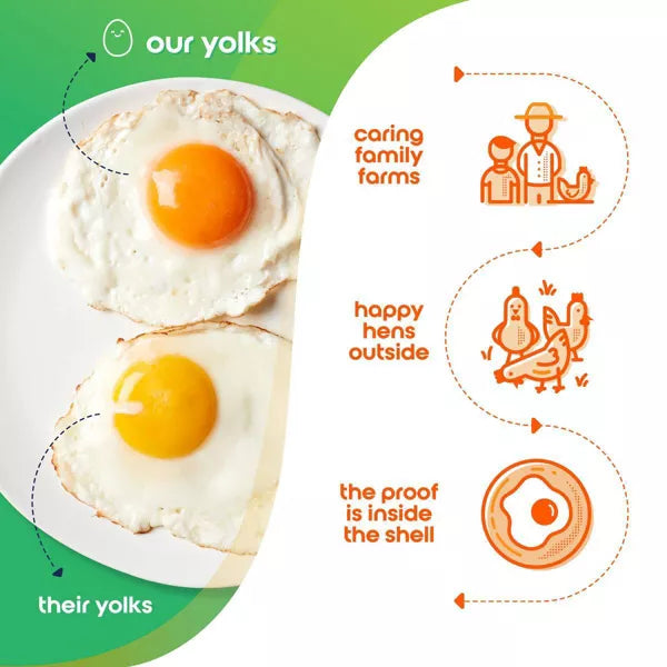 Happy Egg Co. Free Range Large Brown Organic Eggs, 1 Dozen