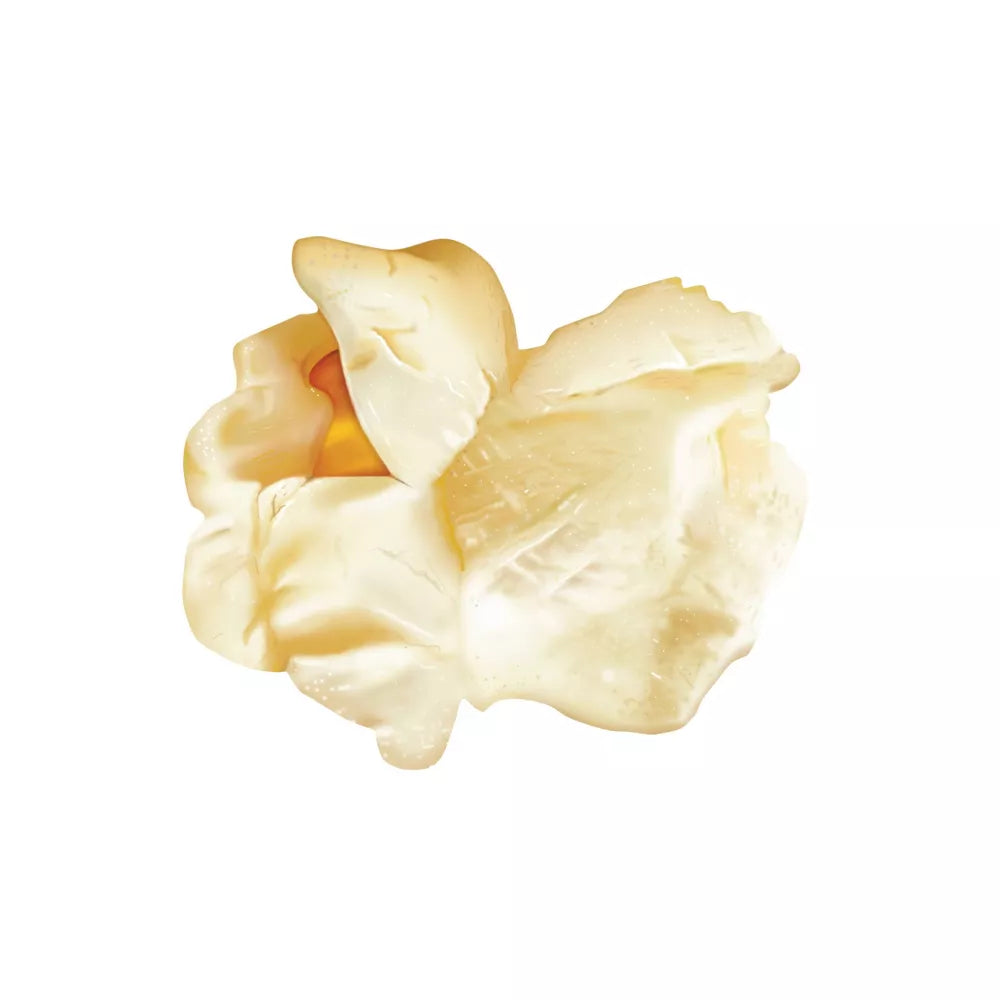 SkinnyPop Microwave Sea Salt Popcorn, 16.8 oz