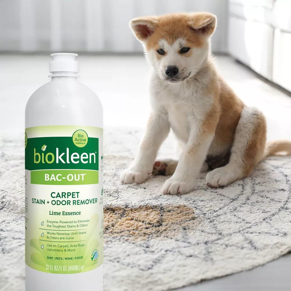 Biokleen Bac Out Stain & Odor Eliminator, 32 oz