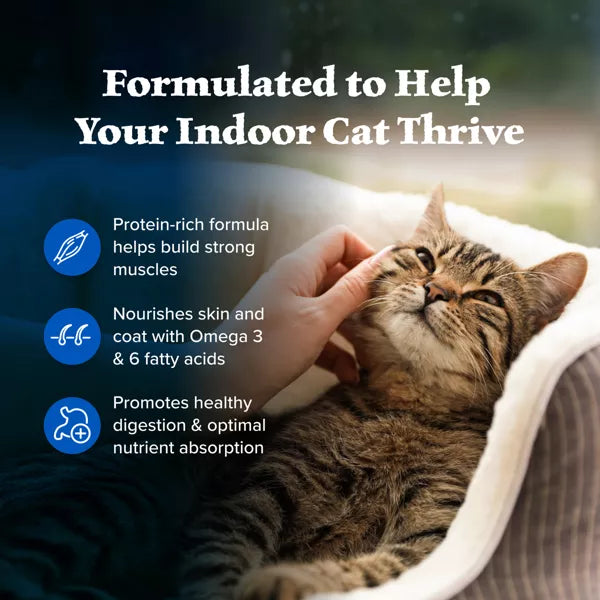 Blue Buffalo Wilderness High Protein Natural Adult Indoor Dry Cat Food with Chicken, 4 lbs