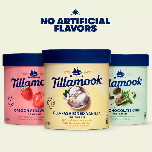 Tillamook Mint Chocolate Chip Ice Cream, 48 oz