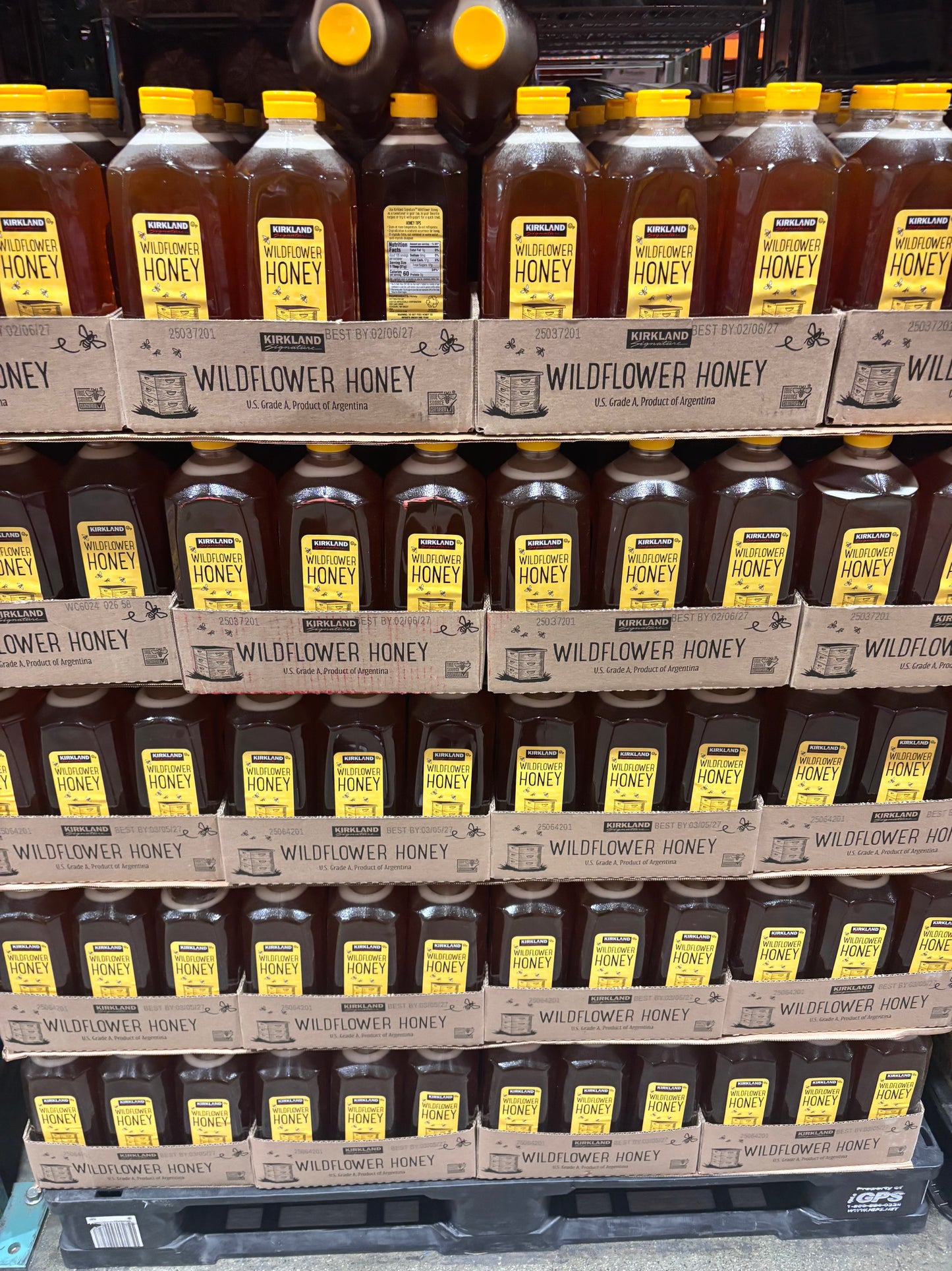 Kirkland Signature Wildflower Honey, 80 oz