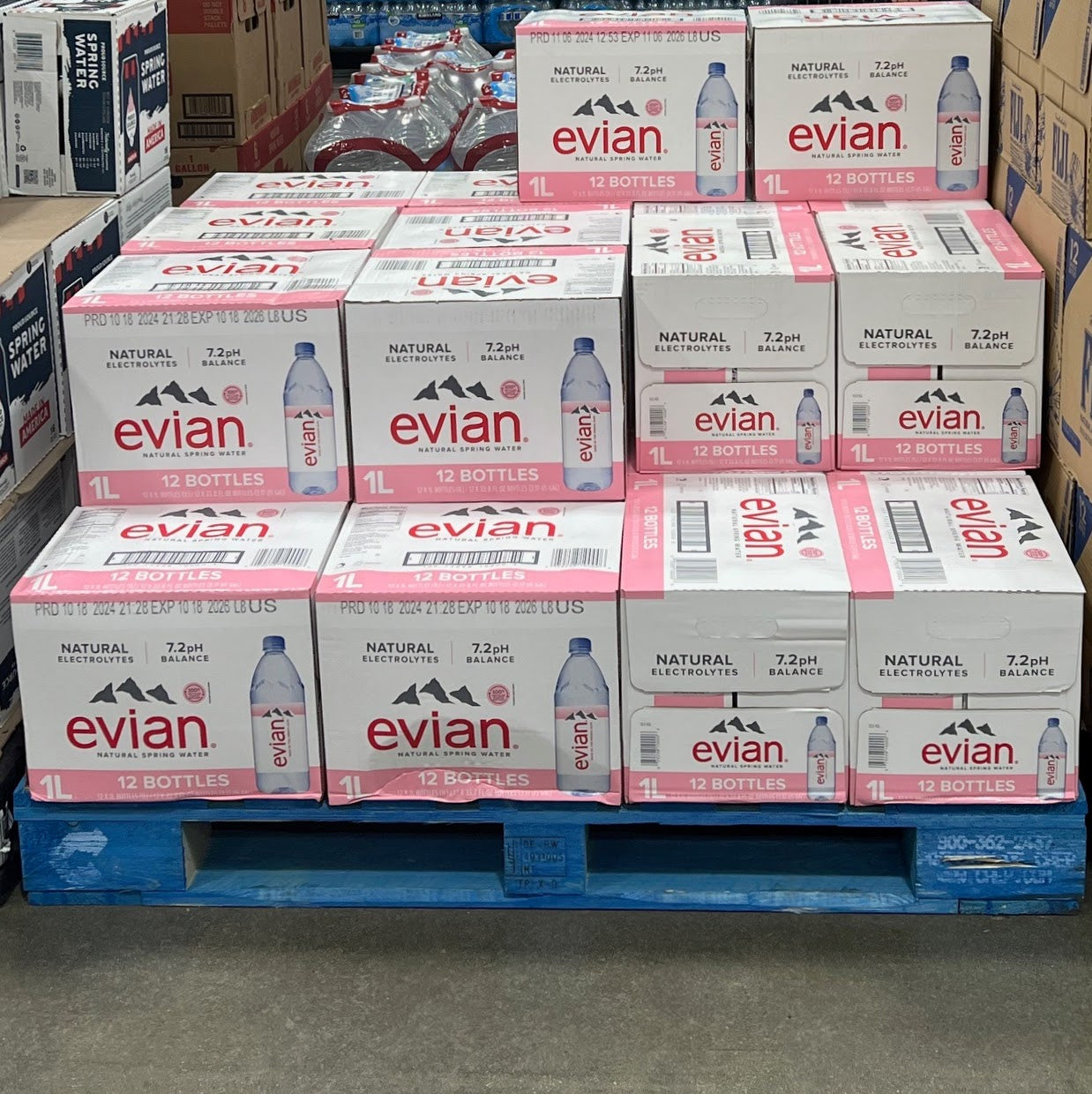 Evian Natural Spring Bottled Water 12 ct, 1L