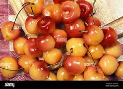 Rainier Cherries 2 lbs