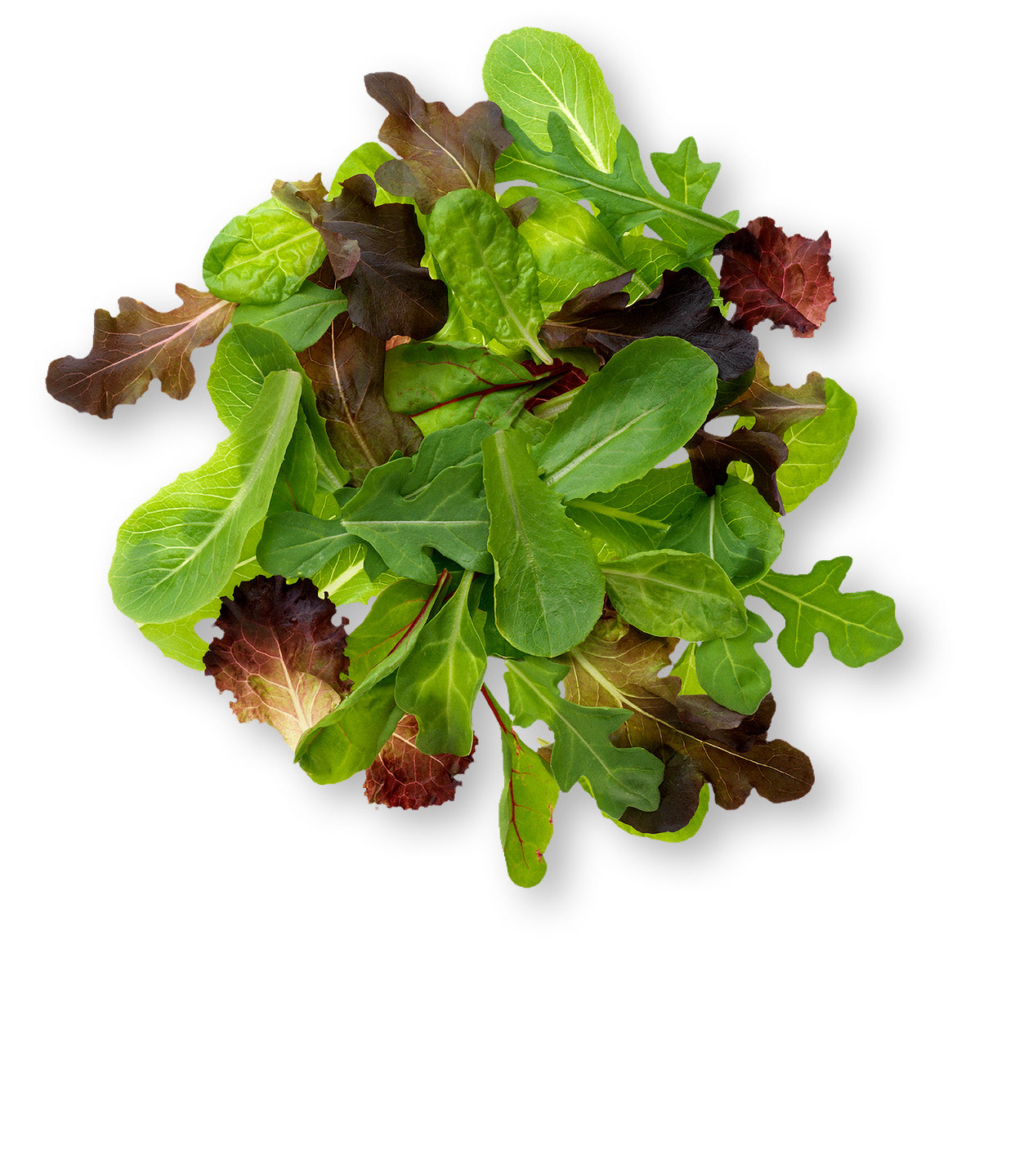 Spring Mix, 5 oz