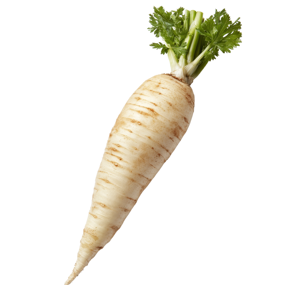 Parsnips