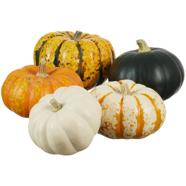 Mini Pumpkin Variety, 5-count