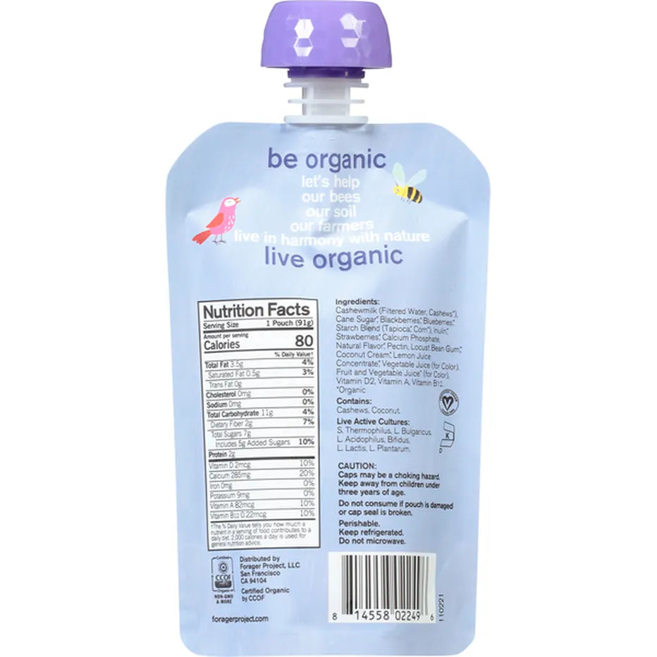 Forager Project Kids Organic Cashewmilk BerryBerry Yogurt, 3.2 oz