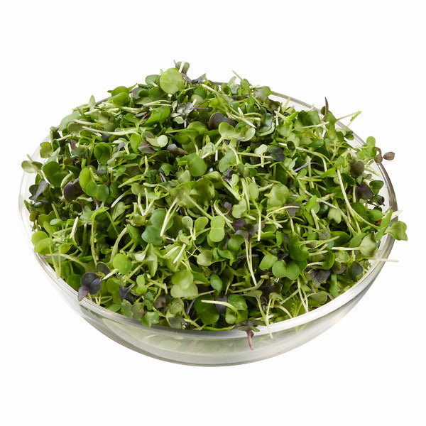 Micro Rainbow Mix, 6oz Microgreens