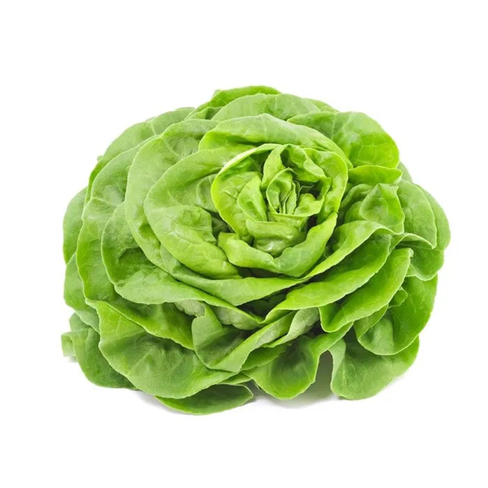 Boston Lettuce, 1 count