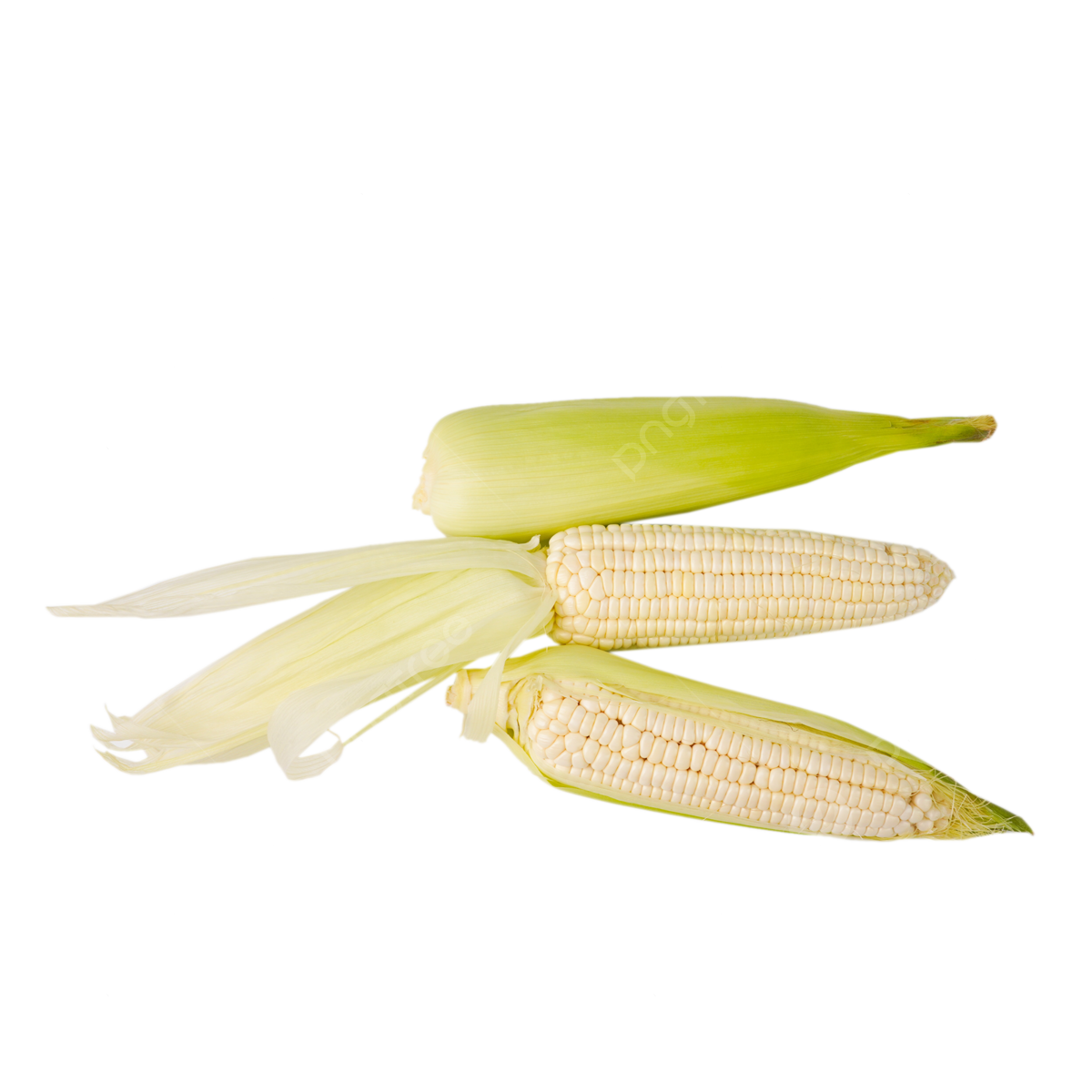 White Corn