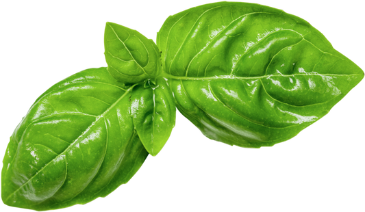 Basil | 1 clamshell