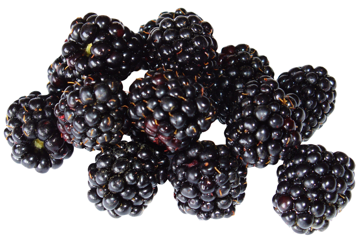 Blackberries, 6 oz