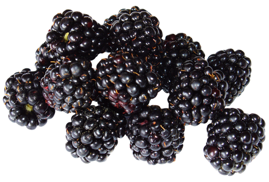 Blackberries, 12 oz