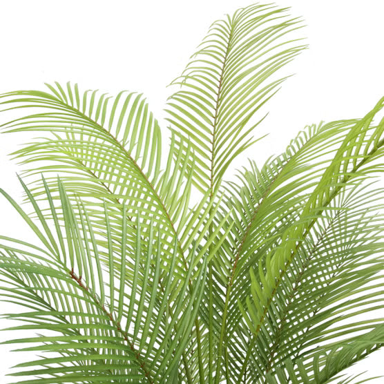 Faux 6.5' Palm Tree*