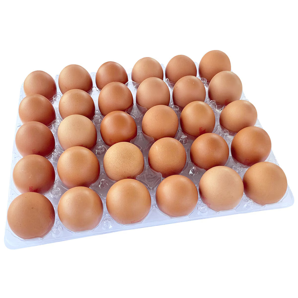 Veruca Large Brown Cage Free Eggs. Grade A. 24ct