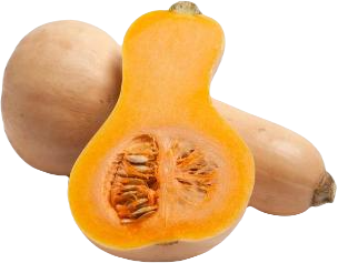 Butternut Squash