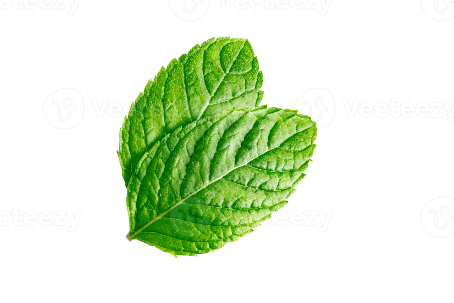 Mint Clamshell .1oz