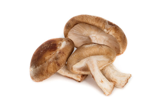 Shiitake Mushrooms Organic Premium Grade, 12 oz