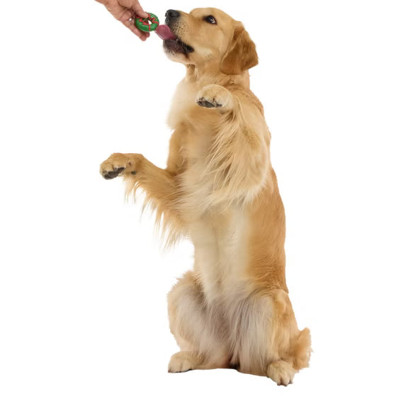 BARK Winter Wooferland Toy and Treat Dog Advent Calendar