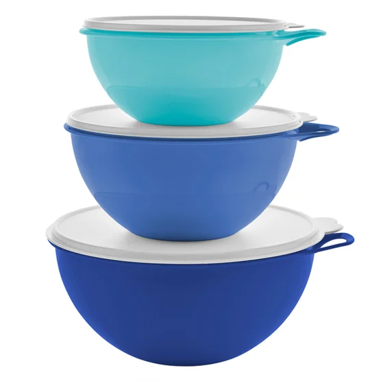Tupperware 6-piece Thatsa Bowl Set