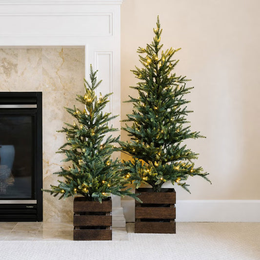 Boxed Pine Trees with Twinkle Lights, Set of 2*