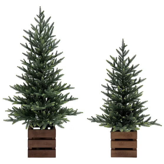 Boxed Pine Trees with Twinkle Lights, Set of 2*