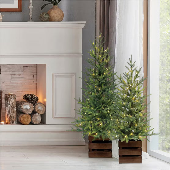 Boxed Pine Trees with Twinkle Lights, Set of 2*