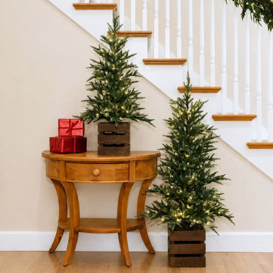 Boxed Pine Trees with Twinkle Lights, Set of 2*