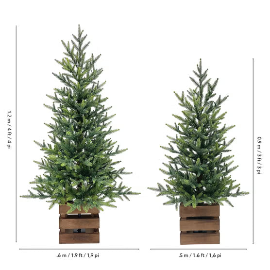 Boxed Pine Trees with Twinkle Lights, Set of 2*