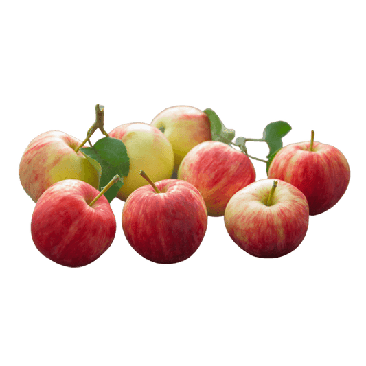 Organic Fuji Apples