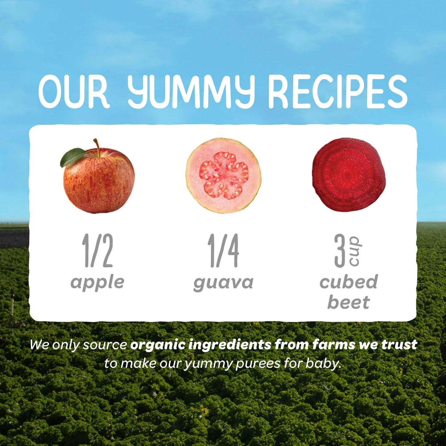 Happy Baby Apple Guava and Beet Baby Food, 4 oz