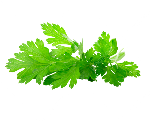 Parsley