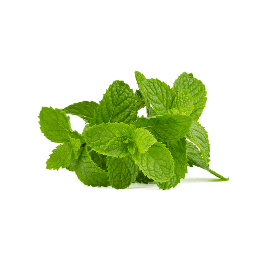 Mint Clamshell .1oz