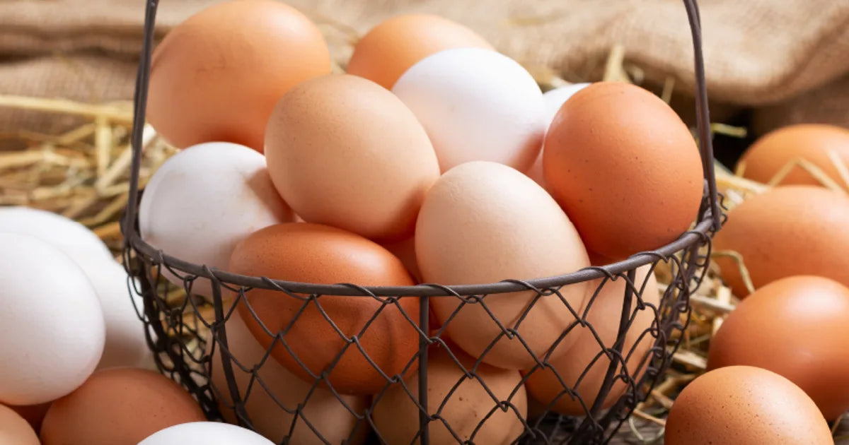 Veruca Large Brown Cage Free Eggs. Grade A. 24ct