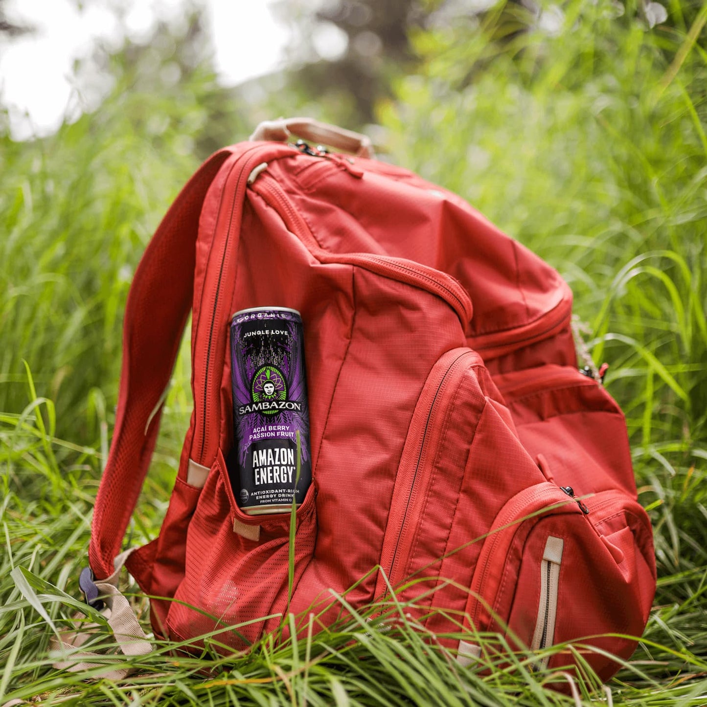 Sambazon Amazon Energy Drink Açaí Passion Fruit 12 oz